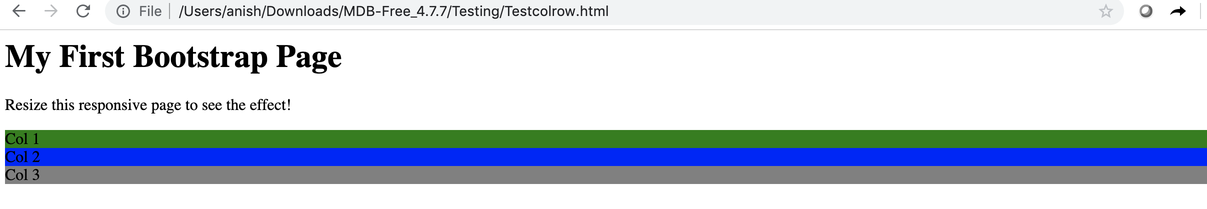 THE BROWSER OUTPUT