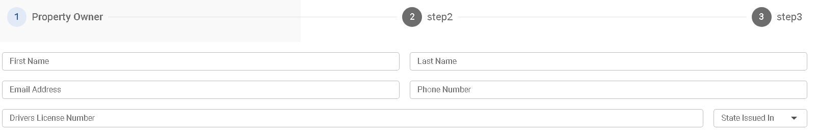 Input form before validation